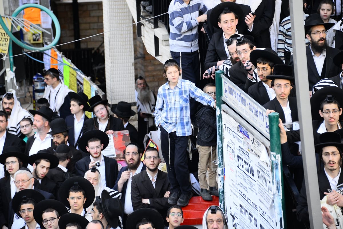 הגר"ח קנייבסקי ערך סיום על התורה • צפו