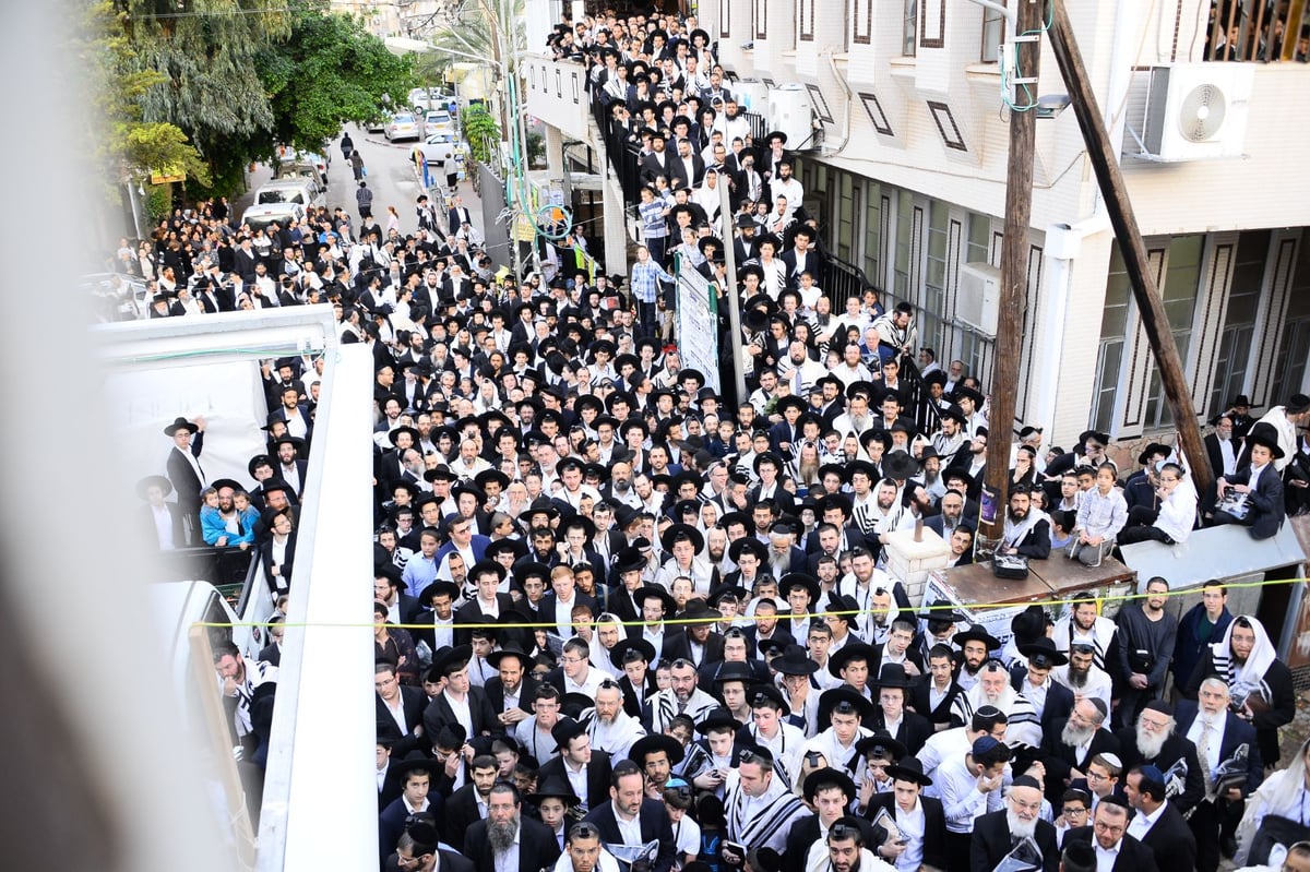 הגר"ח קנייבסקי ערך סיום על התורה • צפו