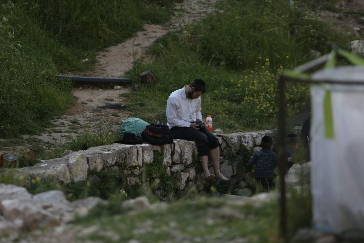 החרדים כבשו את הליפתא בירושלים • צפו