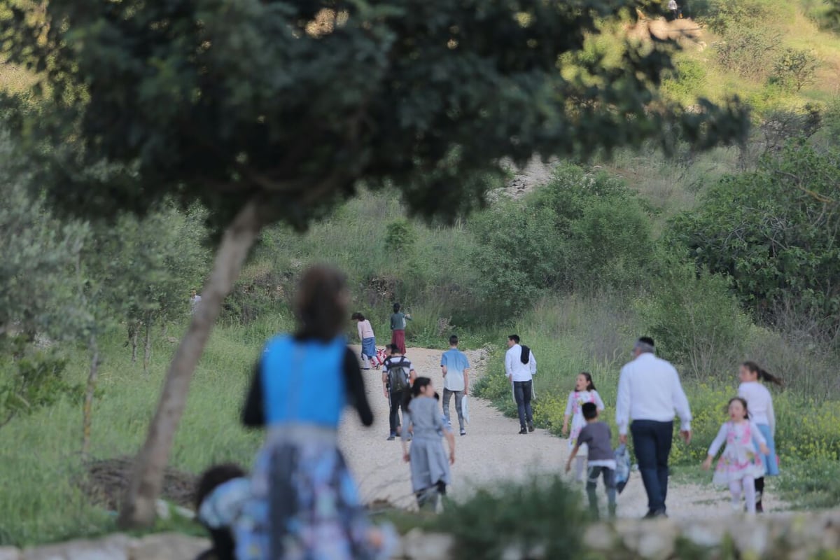 החרדים כבשו את הליפתא בירושלים • צפו