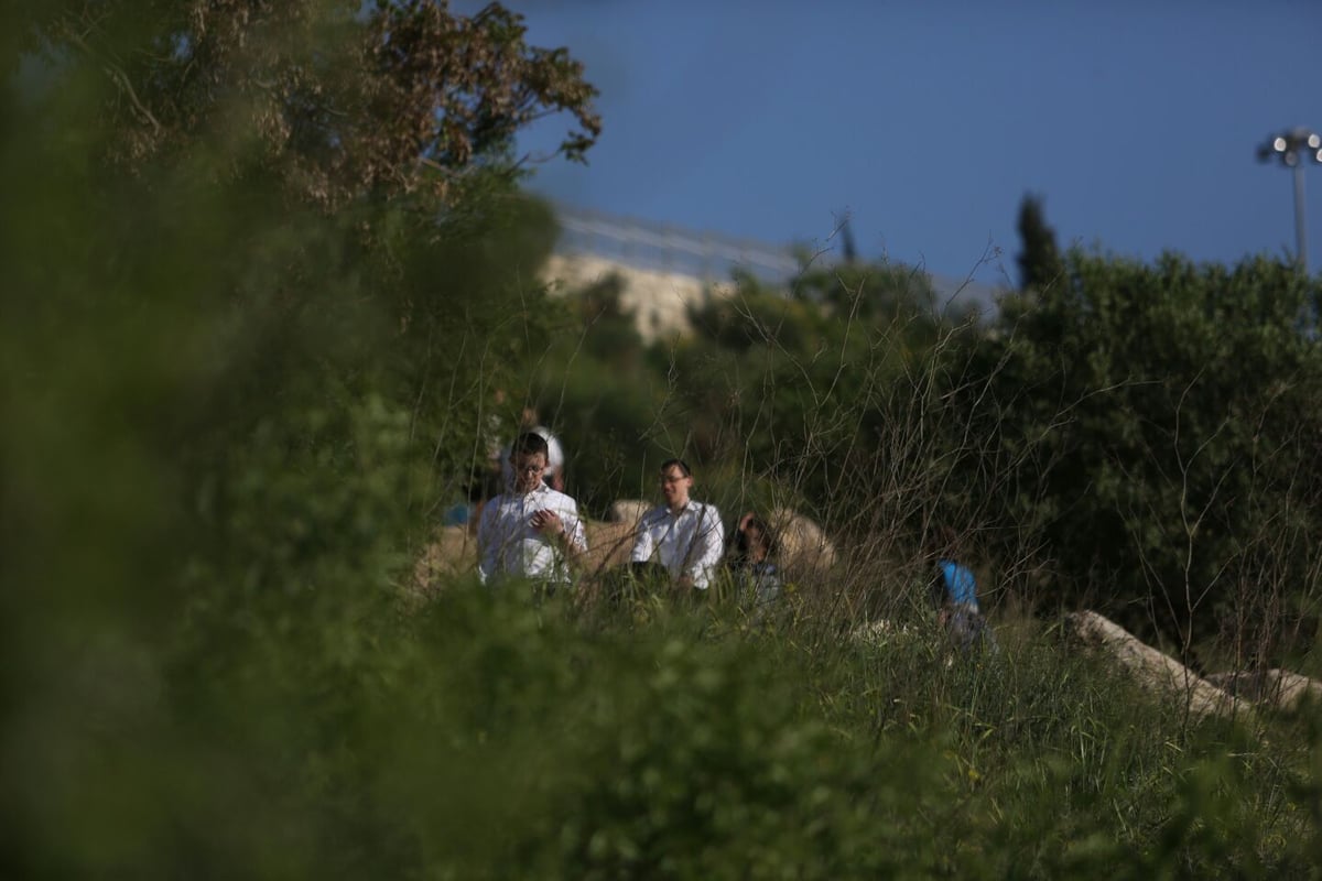 החרדים כבשו את הליפתא בירושלים • צפו