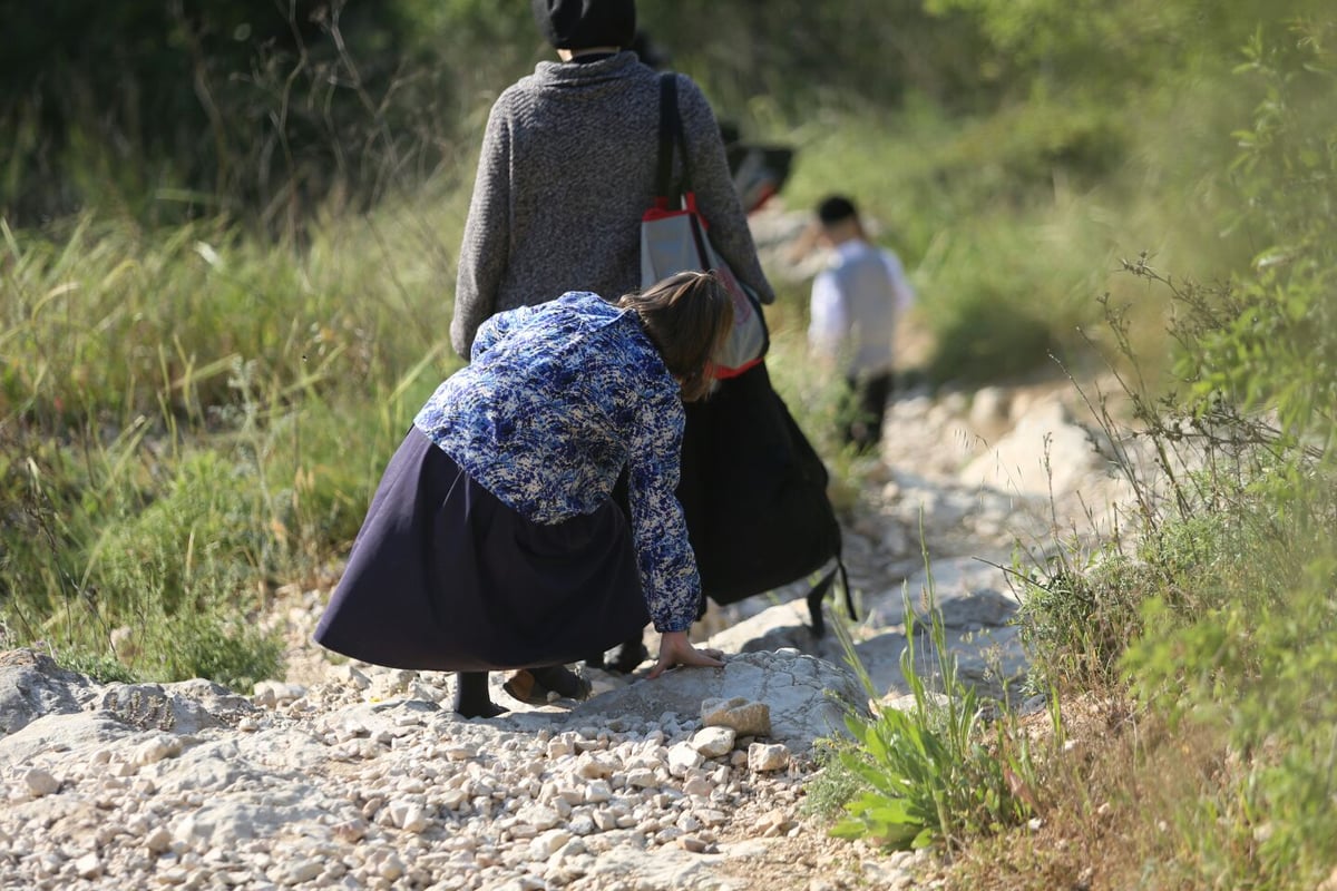 החרדים כבשו את הליפתא בירושלים • צפו