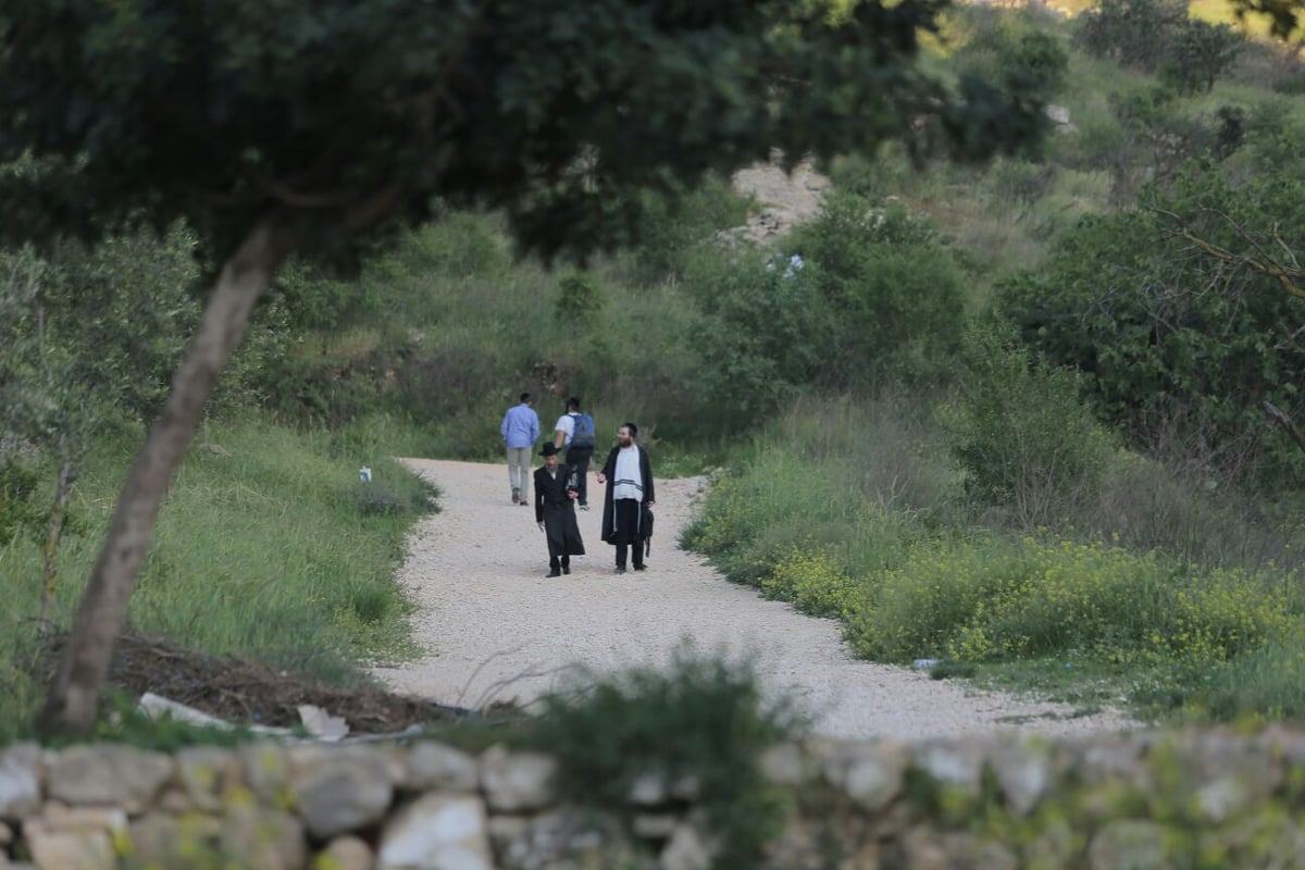 החרדים כבשו את הליפתא בירושלים • צפו