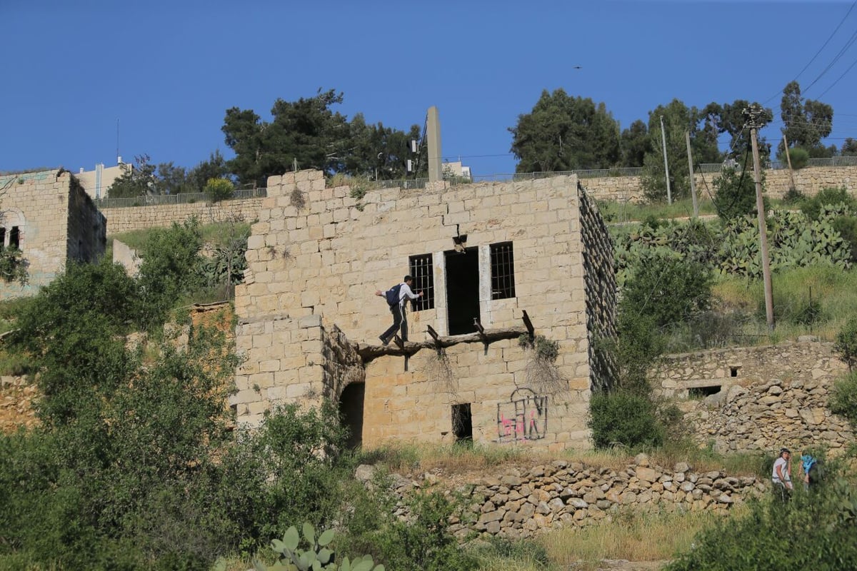 החרדים כבשו את הליפתא בירושלים • צפו