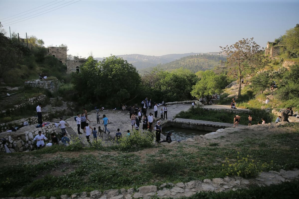 החרדים כבשו את הליפתא בירושלים • צפו