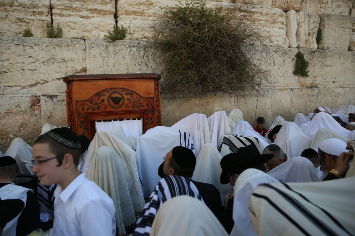 אלפים השתתפו בברכת כהנים בכותל המערבי • צפו