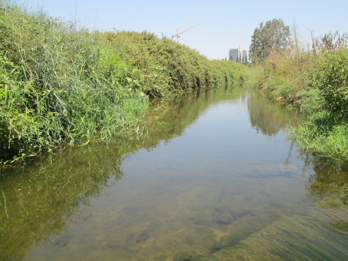 פארק שבע הטחנות דרך עדשת המצלמה