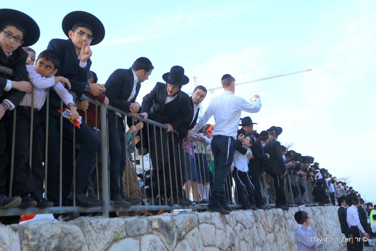 'הקבלת פני' מרן שר התורה הגר"ח קנייבסקי • תיעוד מסכם