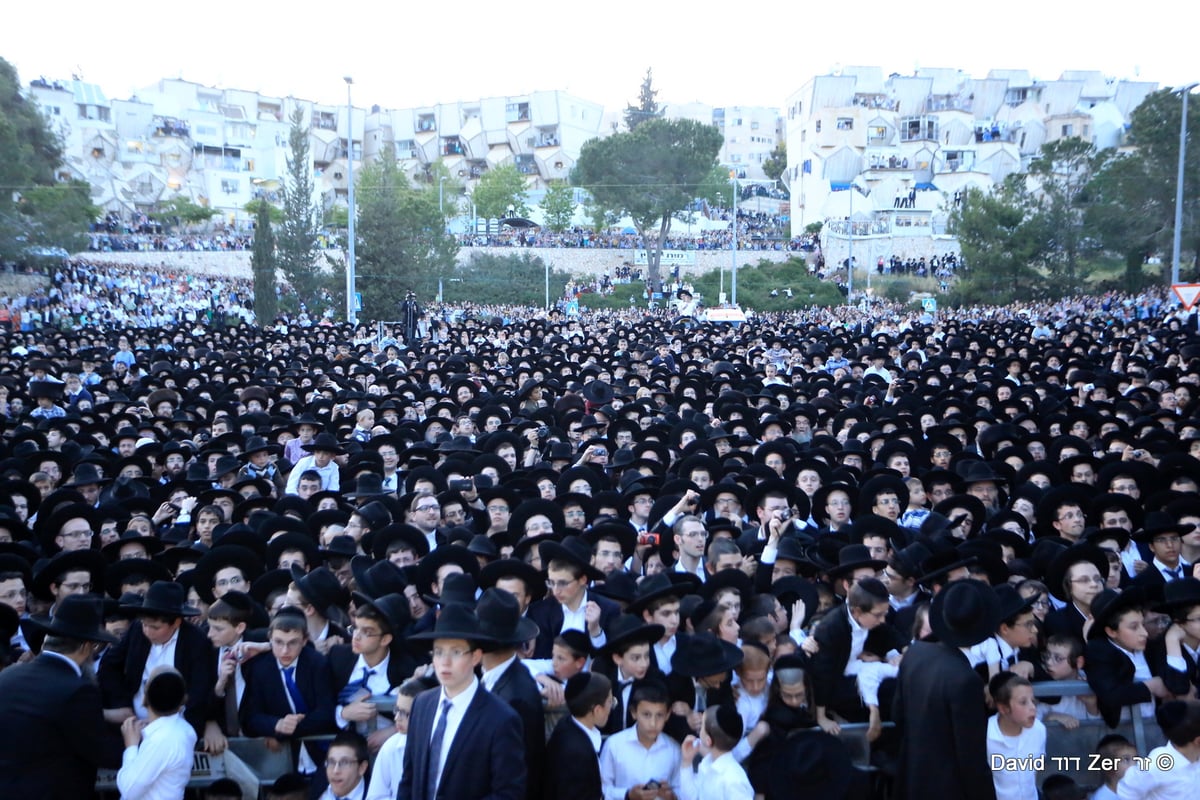 'הקבלת פני' מרן שר התורה הגר"ח קנייבסקי • תיעוד מסכם