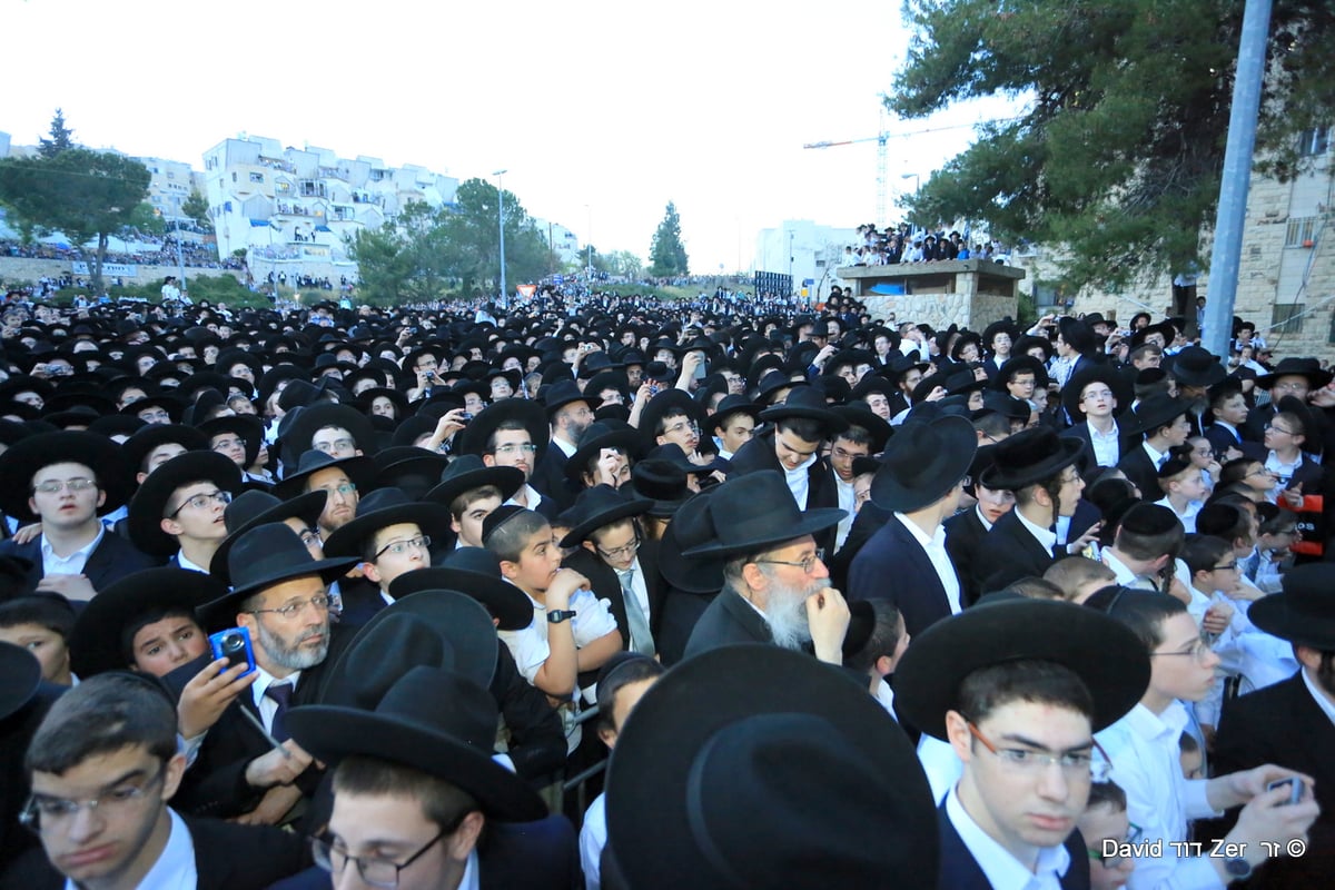 'הקבלת פני' מרן שר התורה הגר"ח קנייבסקי • תיעוד מסכם