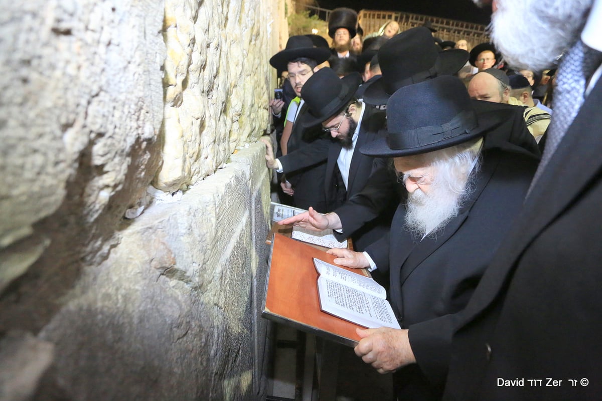 'הקבלת פני' מרן שר התורה הגר"ח קנייבסקי • תיעוד מסכם