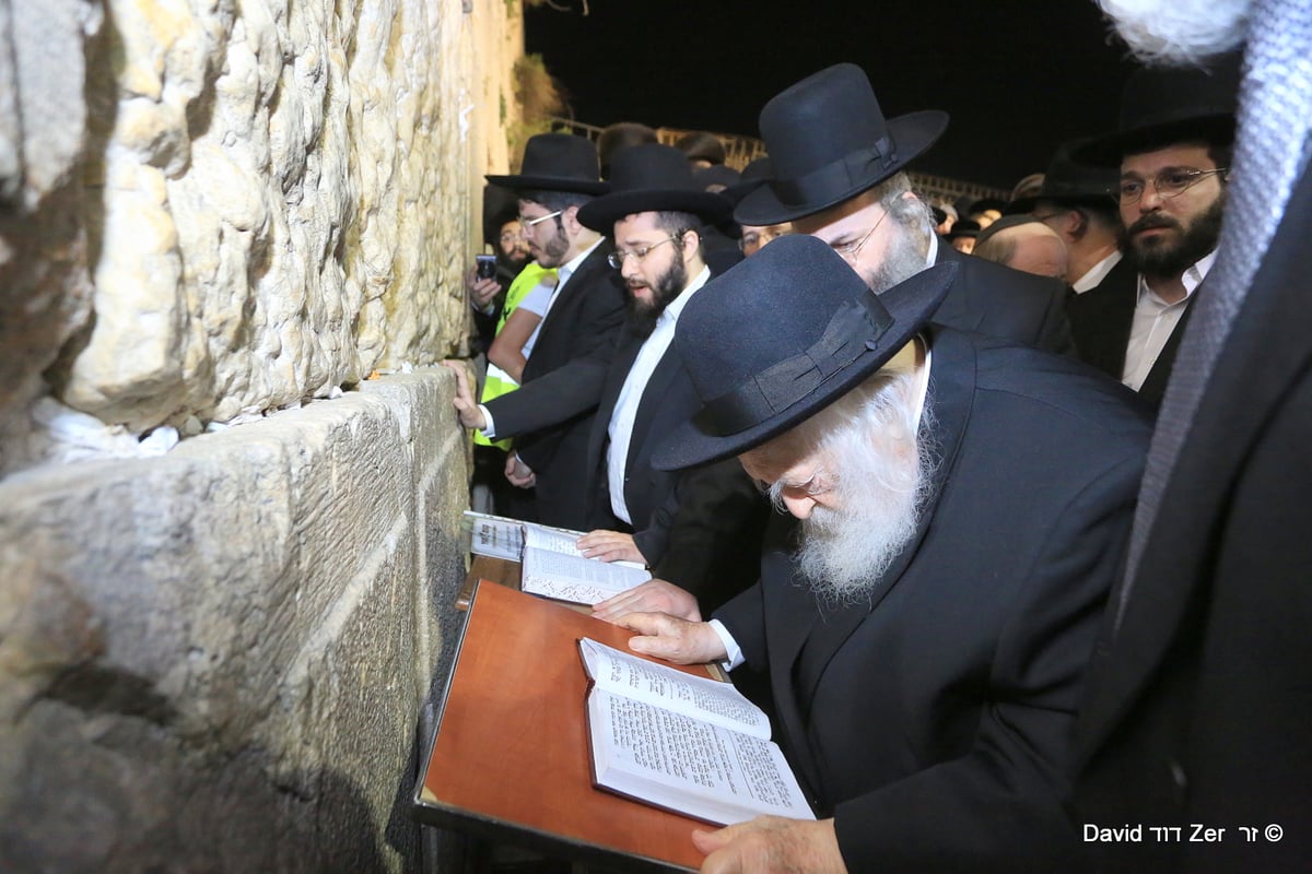 'הקבלת פני' מרן שר התורה הגר"ח קנייבסקי • תיעוד מסכם