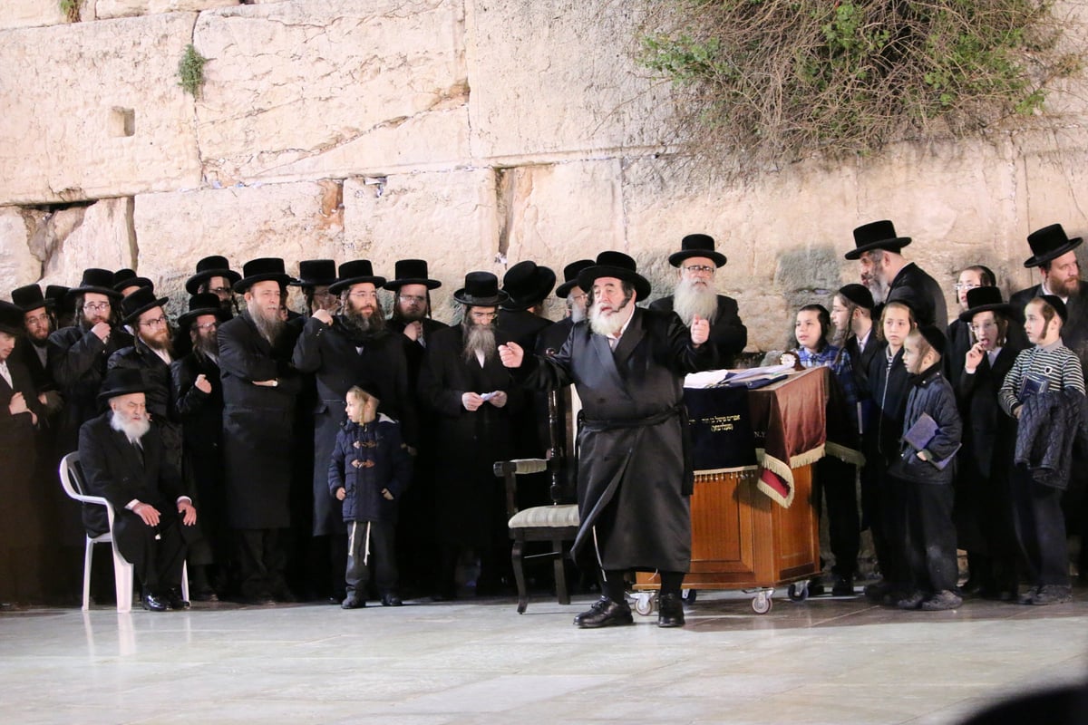 תפילה ושירה: הרבי מויז'ניץ בכותל • תיעוד