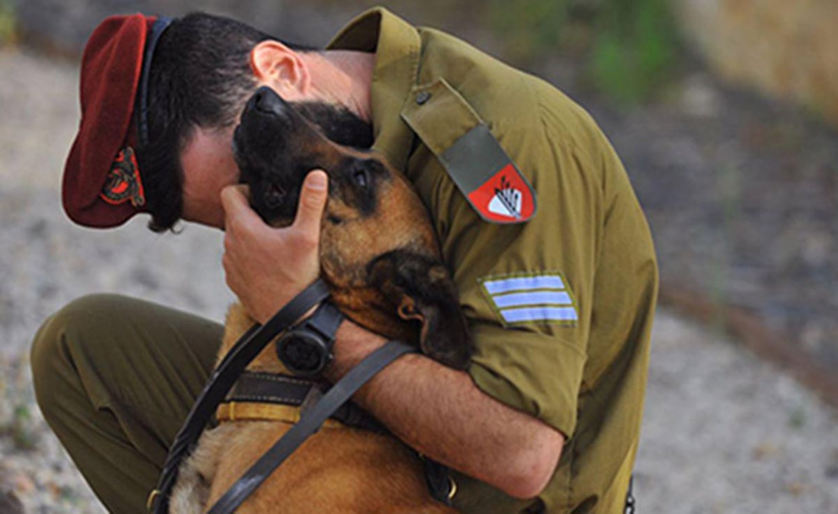 לוחמי 'עוקץ' העלו זיכרונות מול קברי הכלבים