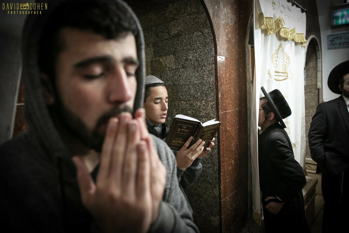 בחורי קהילת 'פרושים' התפללו במירון • צפו