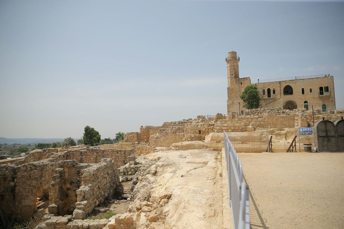 סיור מיוחד בקבר שמואל הנביא • צפו