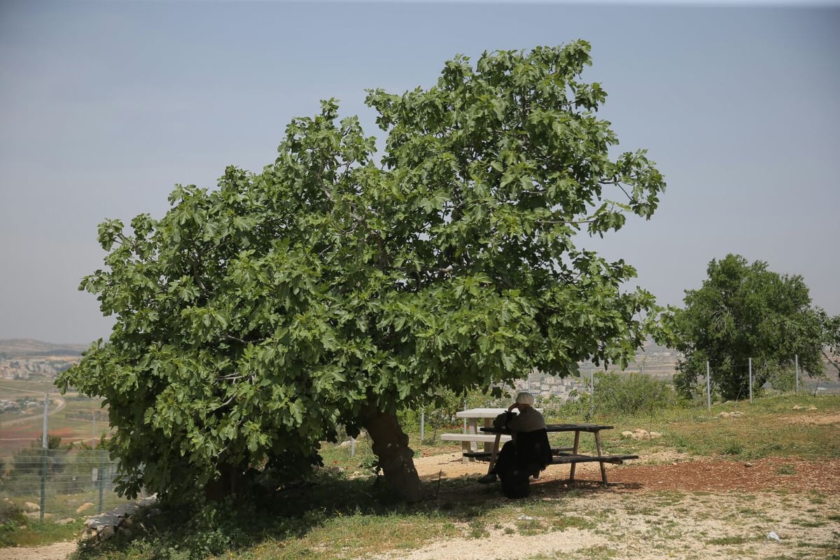 סיור מיוחד בקבר שמואל הנביא • צפו