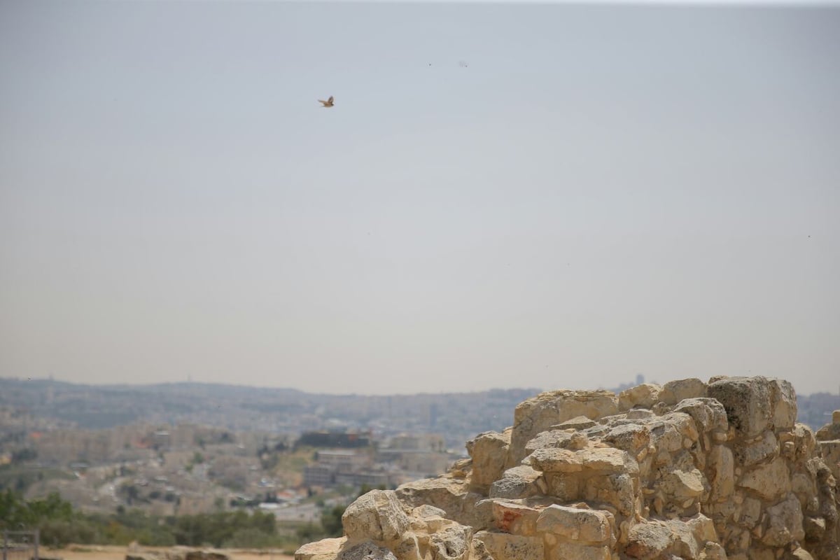 סיור מיוחד בקבר שמואל הנביא • צפו