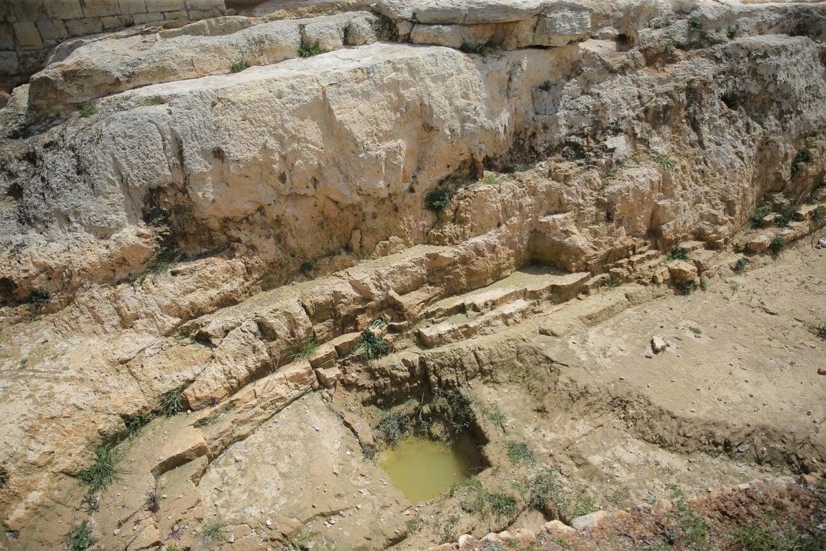 סיור מיוחד בקבר שמואל הנביא • צפו