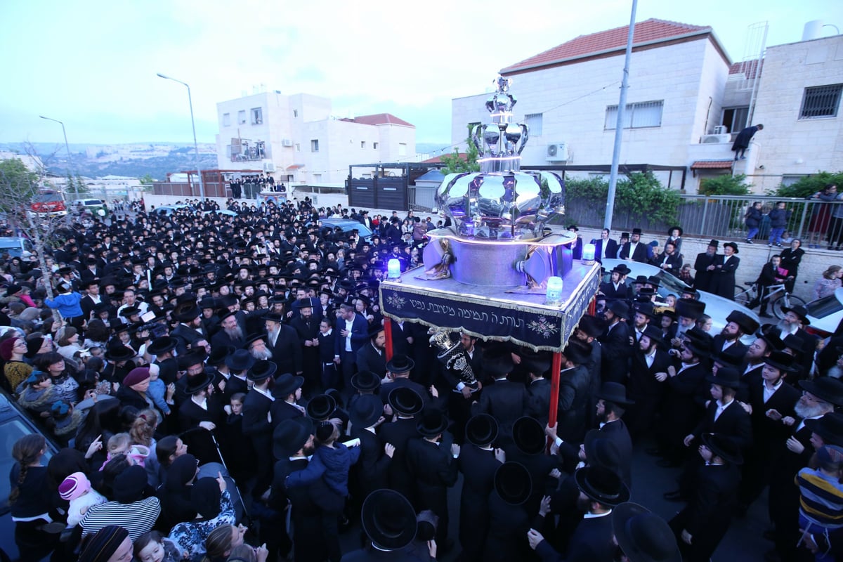 היחצ"ן הכניס ספר תורה, הפוליטיקאים התייצבו • גלריה