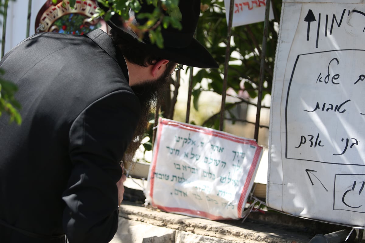 הספקתם לברך על האילנות? הם כבר בירכו