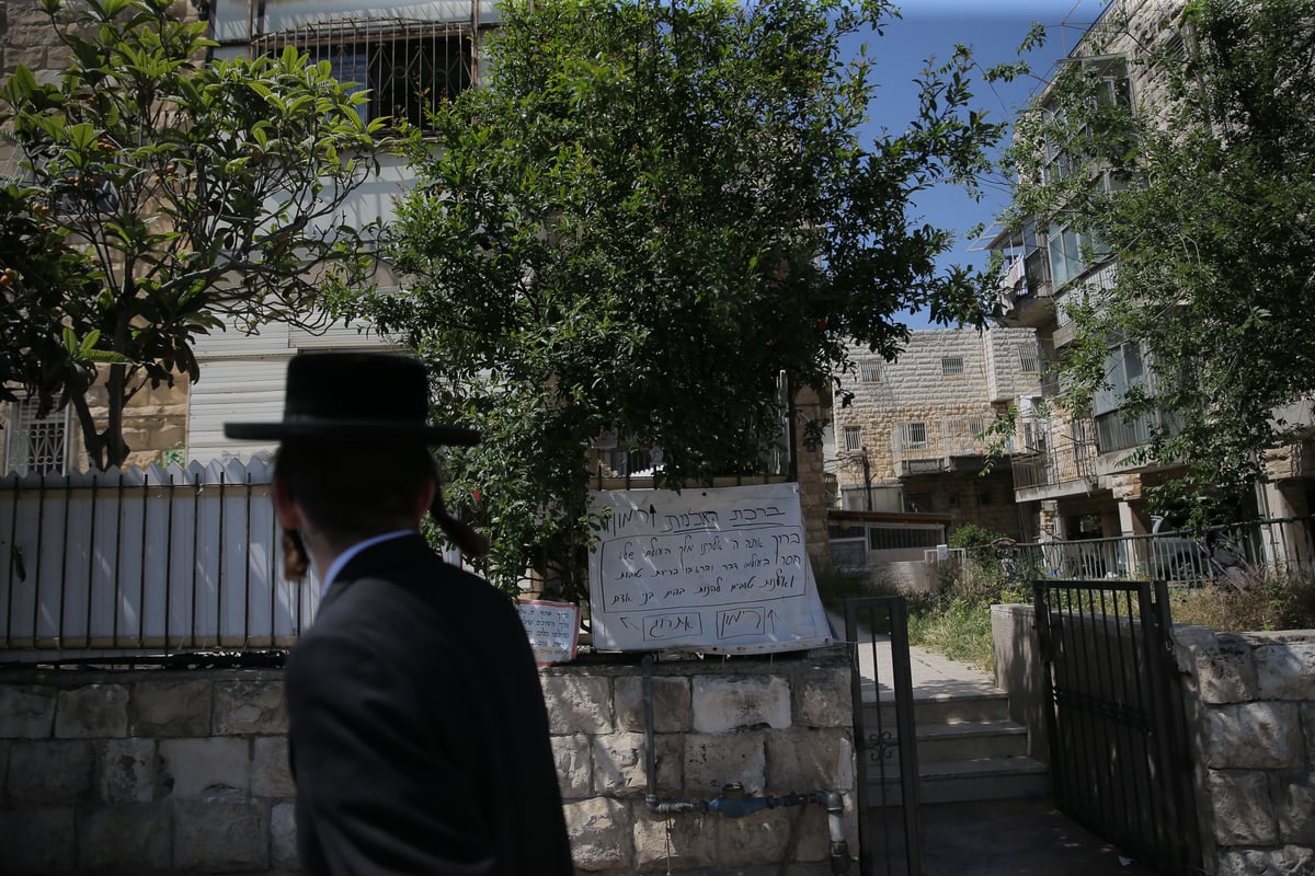 הספקתם לברך על האילנות? הם כבר בירכו