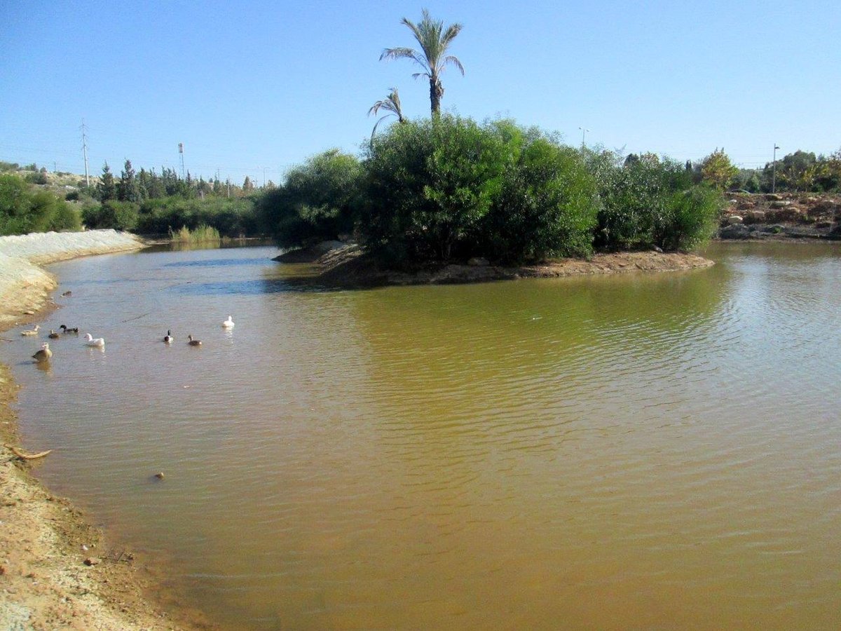 טיול ייחודי לנופי גוש דן דרך עדשת המצלמה