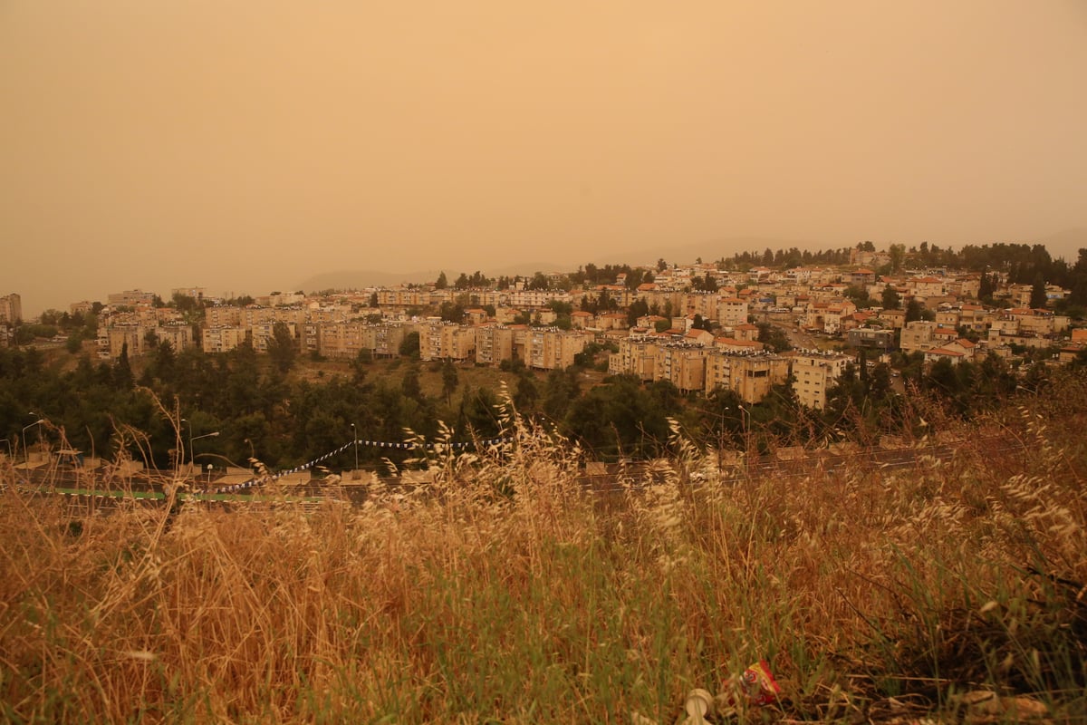 הצפות בחנויות ובבתי ספר: תמונות הסערה