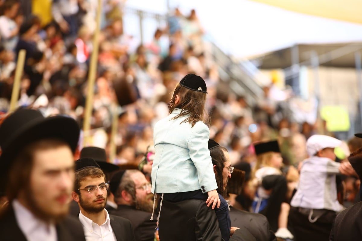 ילדי חלאקה במירון • גלריה מרגשת במיוחד