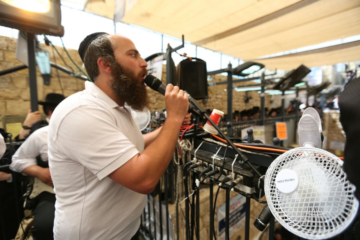 ובחצר ציון הרשב"י במירון: ריקודים ללא הפסקה • גלריה