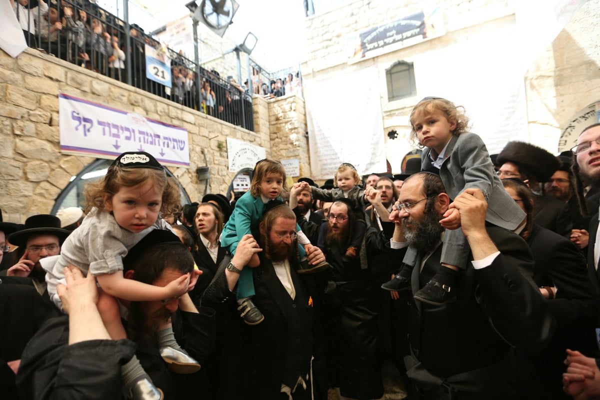 ובחצר ציון הרשב"י במירון: ריקודים ללא הפסקה • גלריה