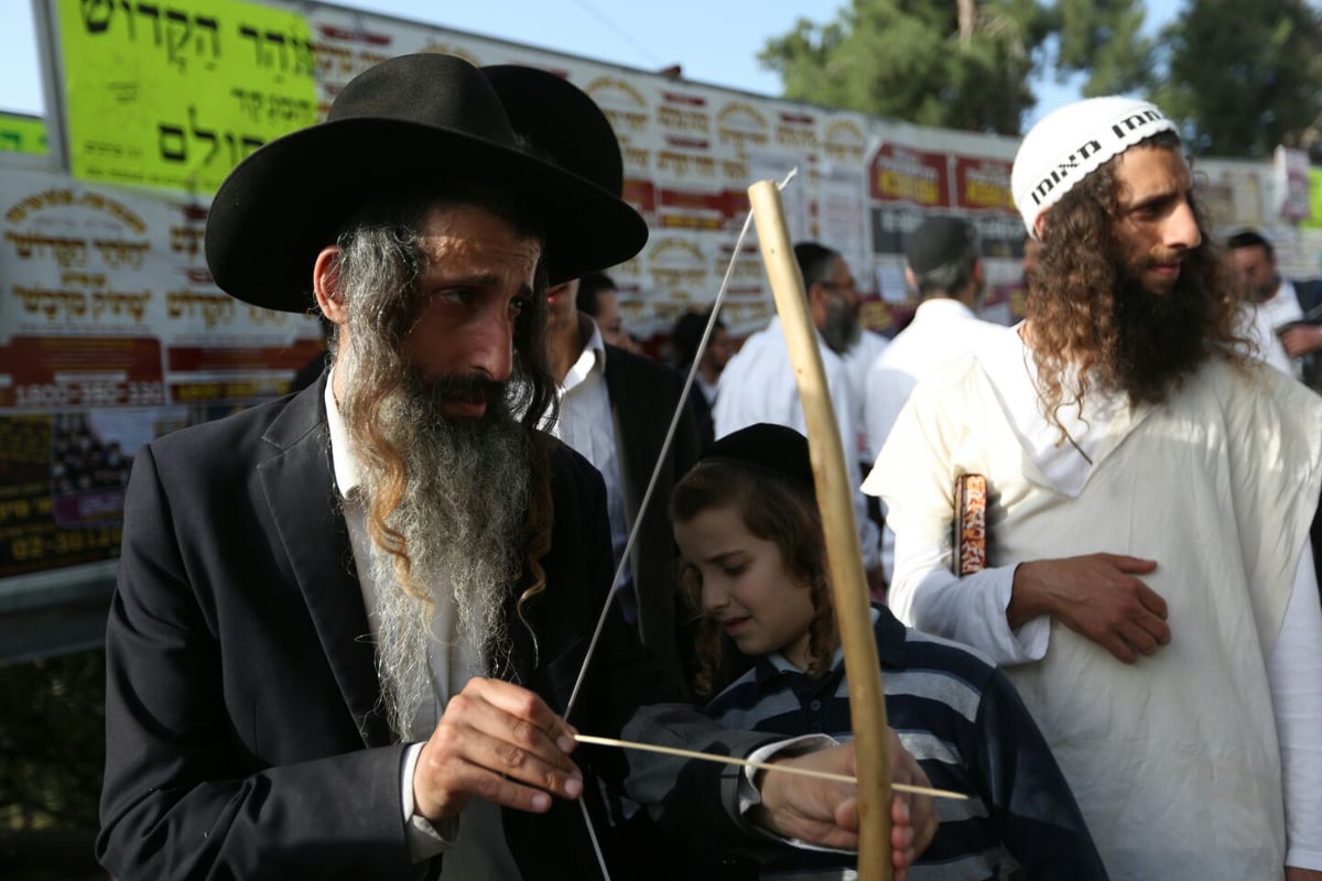 מנהג "חץ וקשת" למהדרין במירון • גלריה