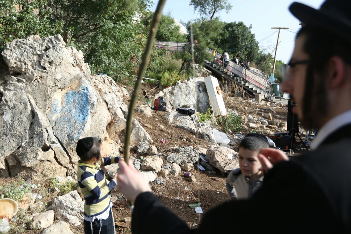 מנהג "חץ וקשת" למהדרין במירון • גלריה