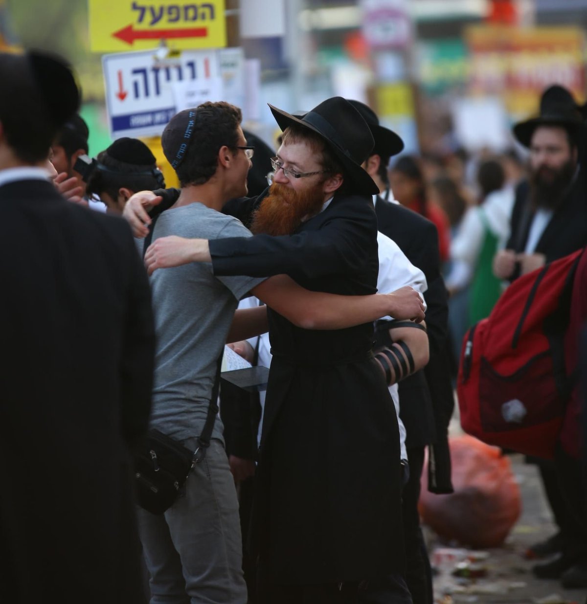 בוקר אחד, מירון אחת, 19 תמונות • גלריה