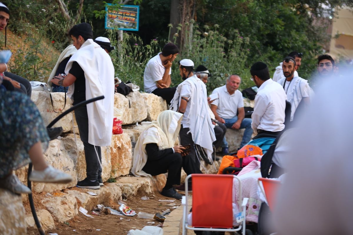 בוקר אחד, מירון אחת, 19 תמונות • גלריה