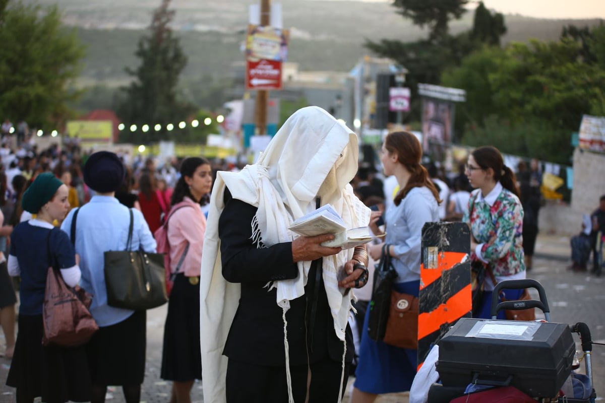 בוקר אחד, מירון אחת, 19 תמונות • גלריה