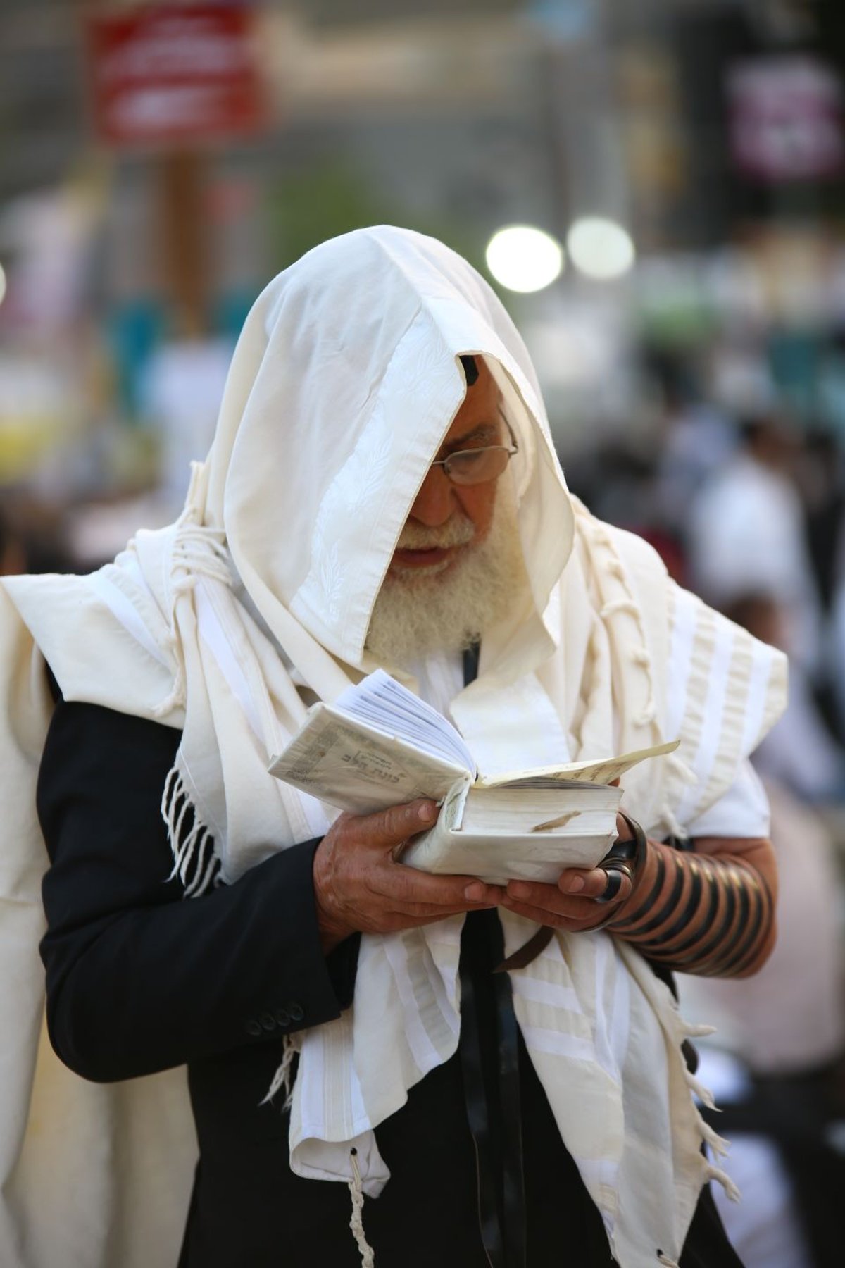 בוקר אחד, מירון אחת, 19 תמונות • גלריה