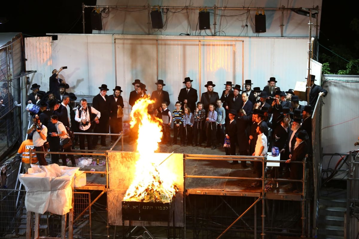 ההדלקה המרכזית של חסידות קרלין במירון • גלריה