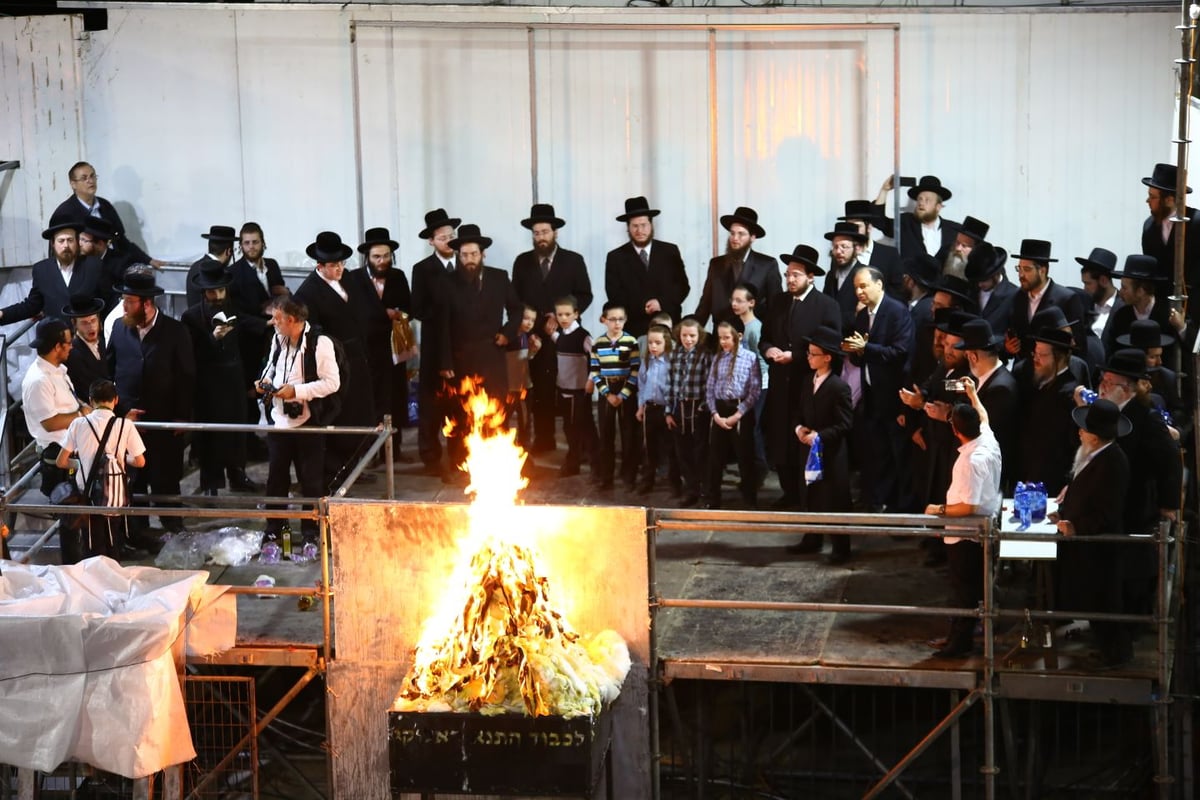 ההדלקה המרכזית של חסידות קרלין במירון • גלריה