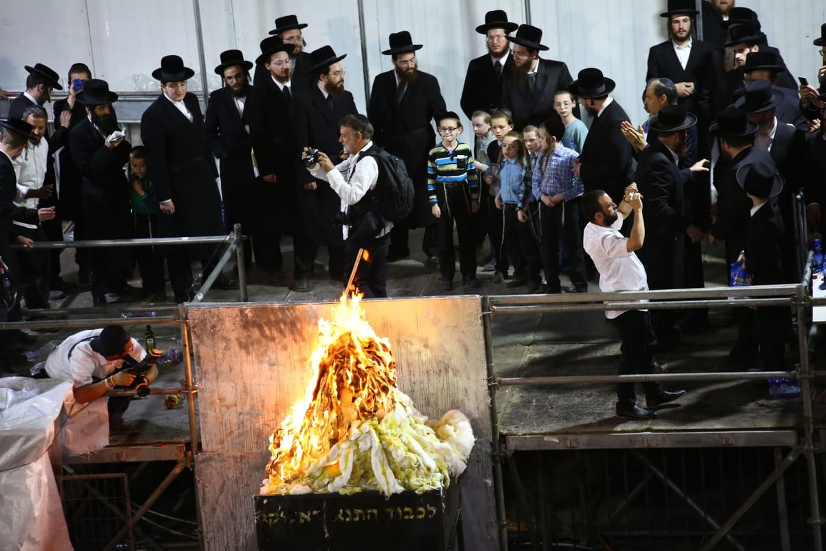 ההדלקה המרכזית של חסידות קרלין במירון • גלריה