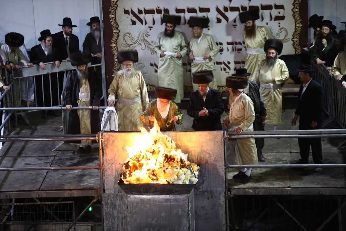 שירה הרשקופ, כיכר השבת