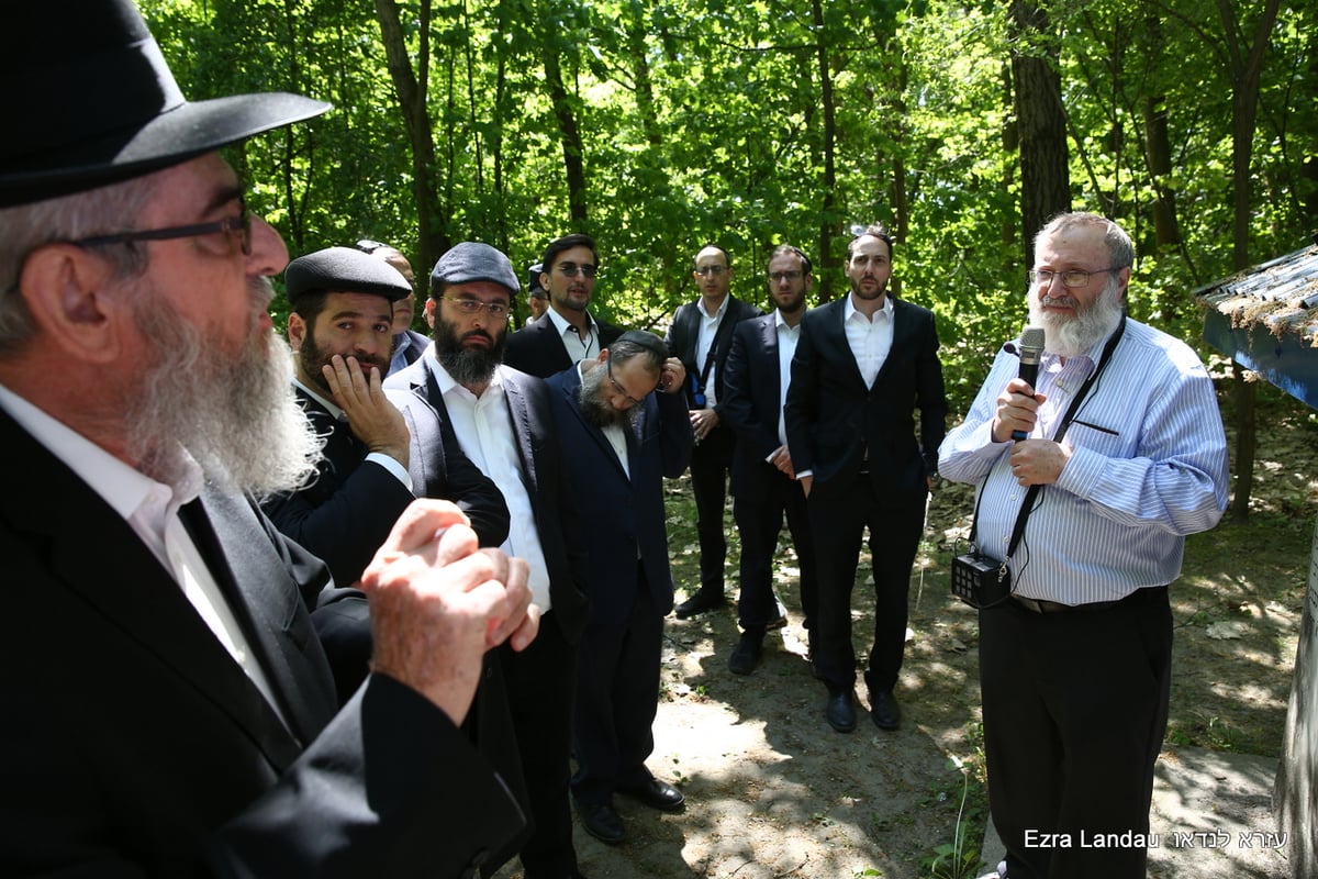 עוצמתי: גלריה מרהיבה מזיכרונות התופת