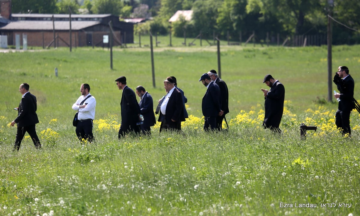 עוצמתי: גלריה מרהיבה מזיכרונות התופת