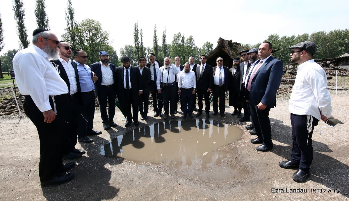 אושוויץ כפי שלא ראיתם מעולם • צפו