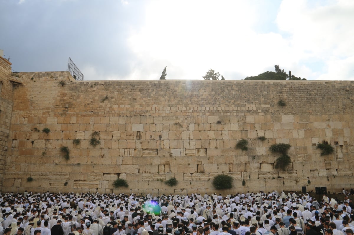 תפילה, שירה וריקוד: יום ירושלים בכותל המערבי • צפו