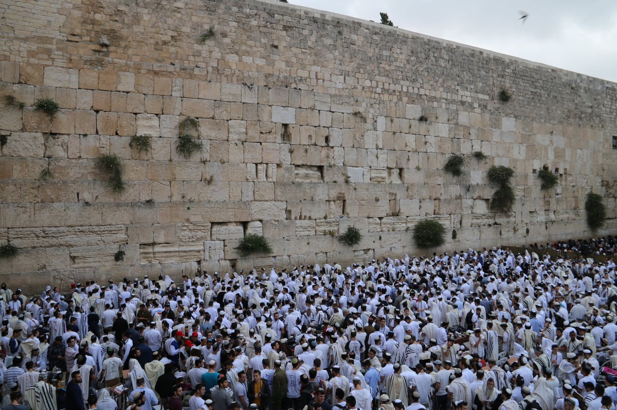 תפילה, שירה וריקוד: יום ירושלים בכותל המערבי • צפו