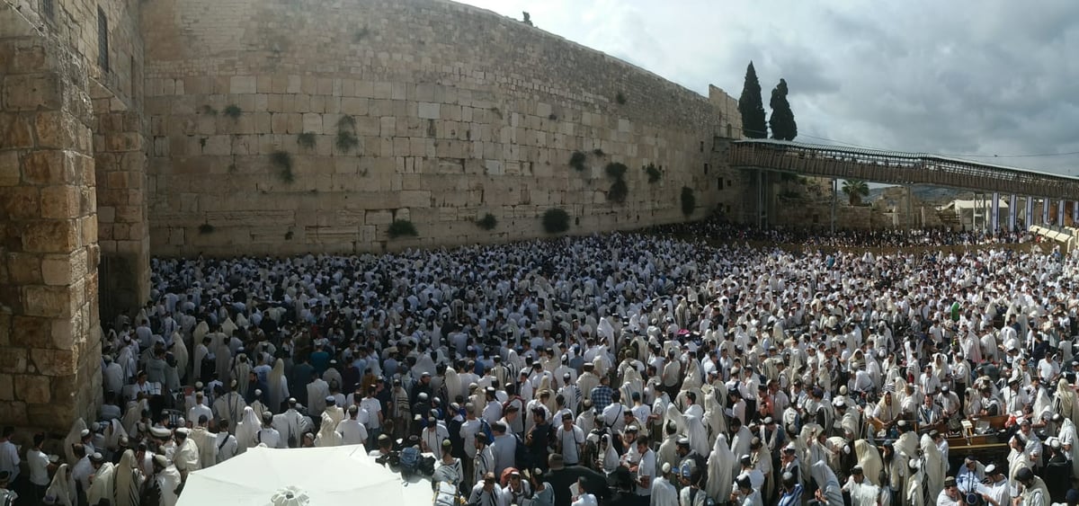 תפילה, שירה וריקוד: יום ירושלים בכותל המערבי • צפו