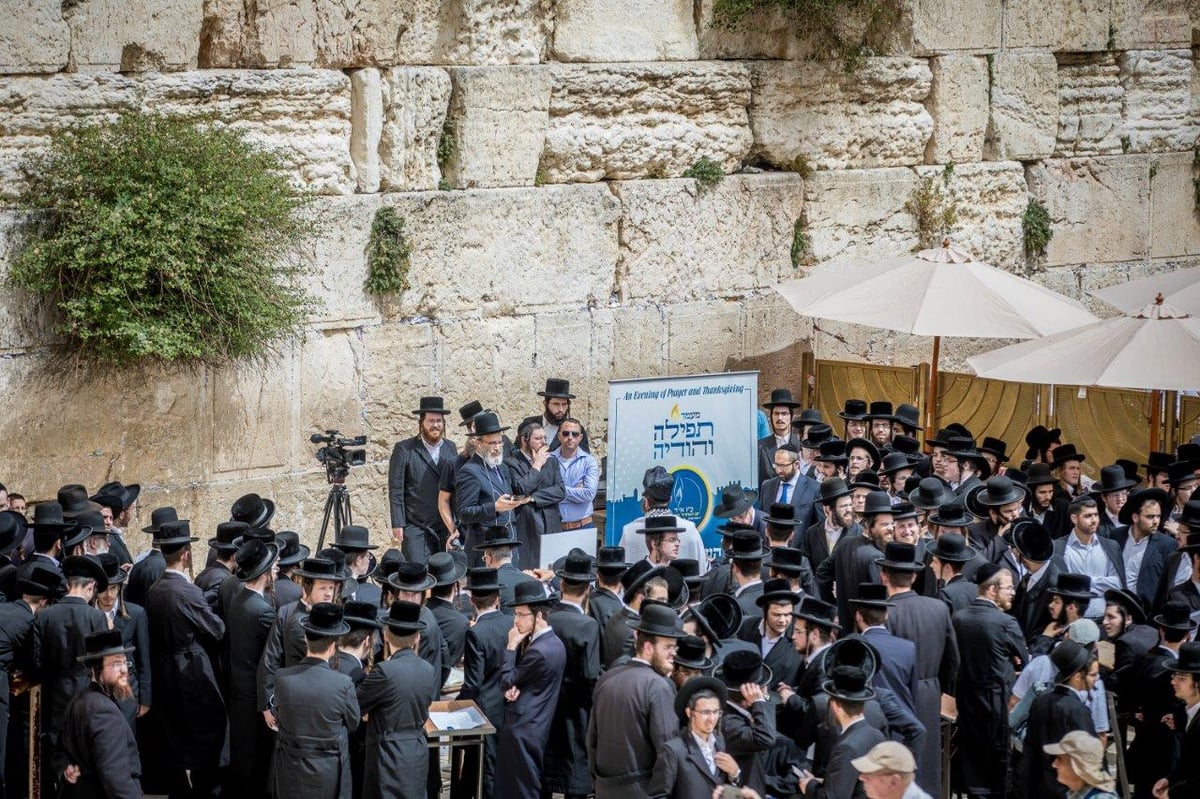 'יום השחרור וההצלה' נחגג בעצרות בעולם