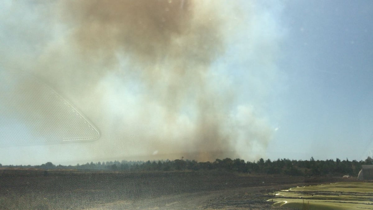 שריפת ענק ליד נתב"ג: אין שליטה על האש