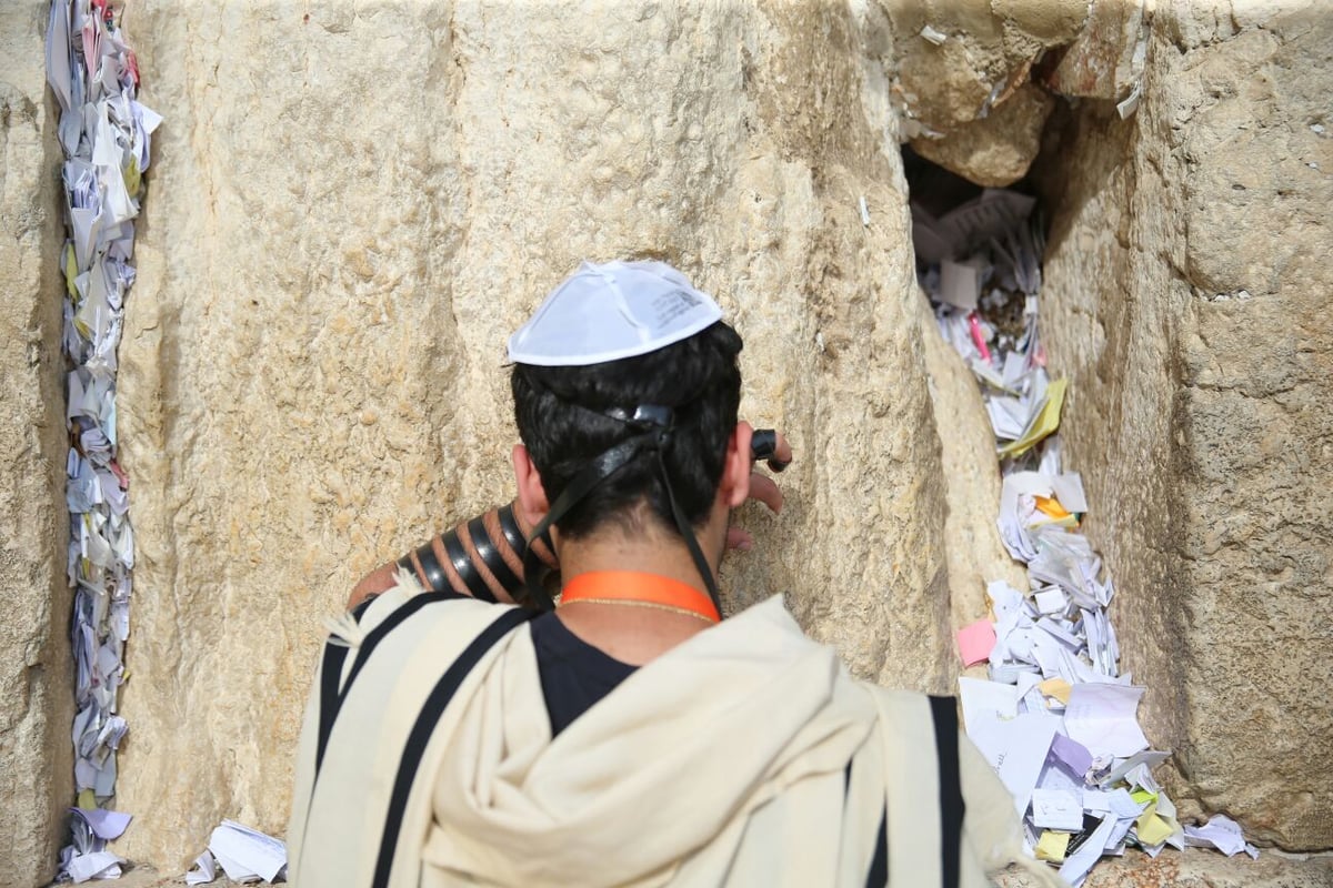 על רקע הצעקות בנתב"ג: תפילין בכותל